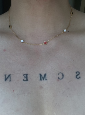 SCMEN钛钢不掉色满天星珍珠贝母项链女轻奢精致锁骨链