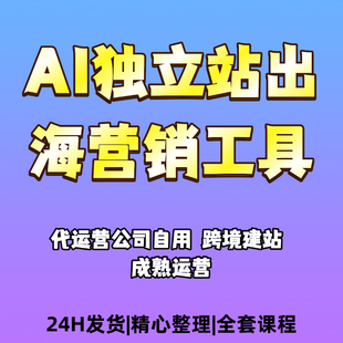 代运营内部AI独立站出海营销工具 跨境建站现成运营打法教程