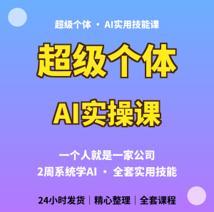 超级个体AI课2周AI技能系统学习教程个人商业AI实操技能学习资料