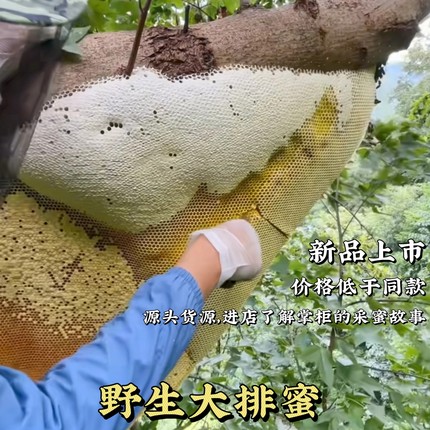 正宗野生悬崖蜜大排蜜树蜂蜜挂蜜纯正天然零添加自然成熟深山蜂蜜