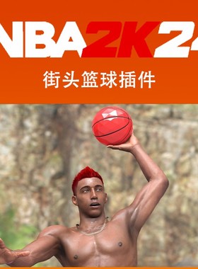 NBA2K24 NBA2K23街头篮球插件 PC补丁 自定义衣服球场篮球玩法