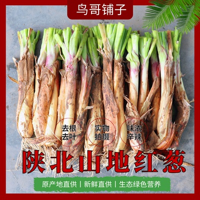 陕北食用红葱新鲜根去铁锅羊肉