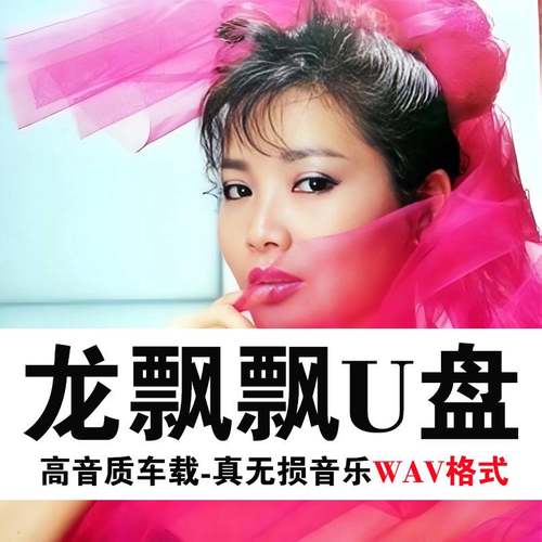 酒廊情歌大全飘飘甜歌情歌车载音乐U盘WAV无损怀旧经典老歌曲音乐