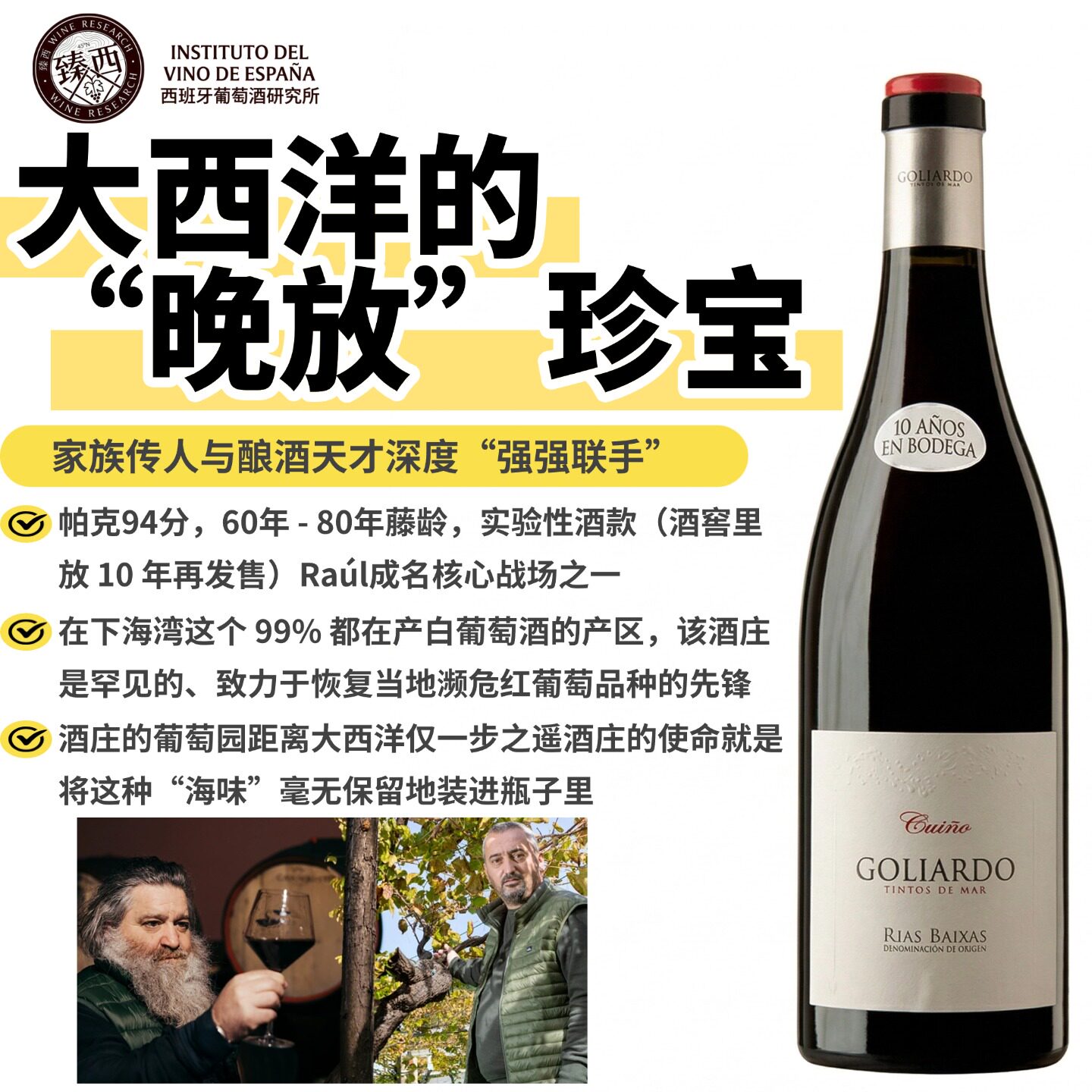 帕克94 西班牙下海湾原瓶进口GOLIARDO凯诺10年窖藏干红葡萄酒