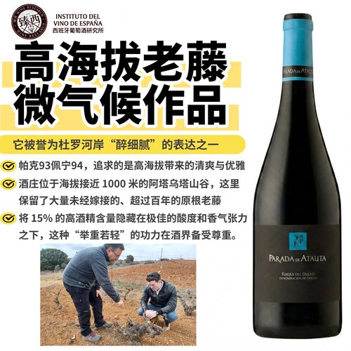 西班牙微气候世界的经典之作