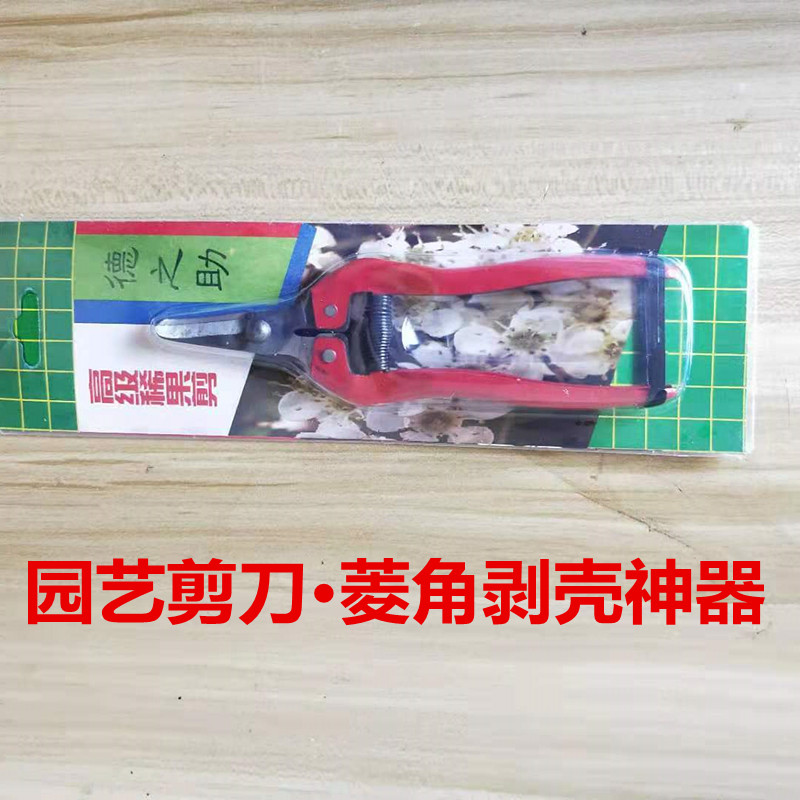 菱角开壳器不锈钢家用手工开壳神器剥菱角工具园艺修剪果树枝剪刀