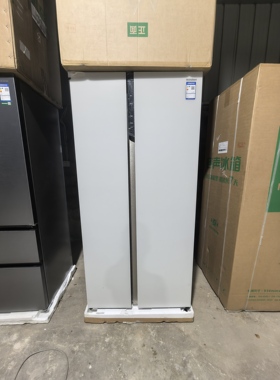 Ronshen/容声 BCD-600WKS1HPGZA 一级大容量IDP除菌平嵌冰箱白色