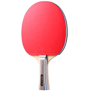 辉胜手工定制乒乓球拍芳基碳素乒乓球底板专业比赛训练乒乓拍反胶