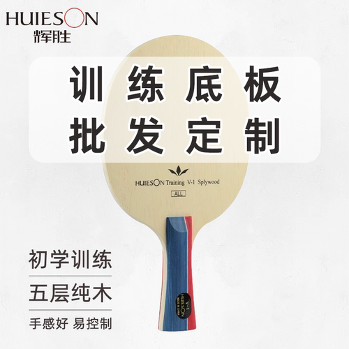 辉胜乒乓球专业训练初学者手工