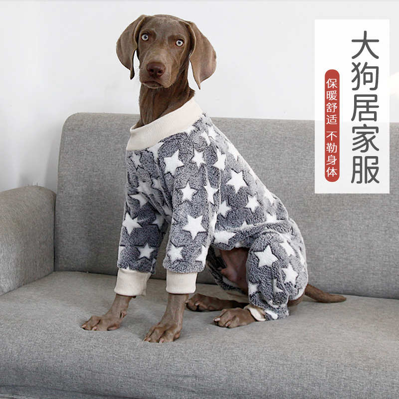 大狗居家衣服保暖舒适秋冬适用
