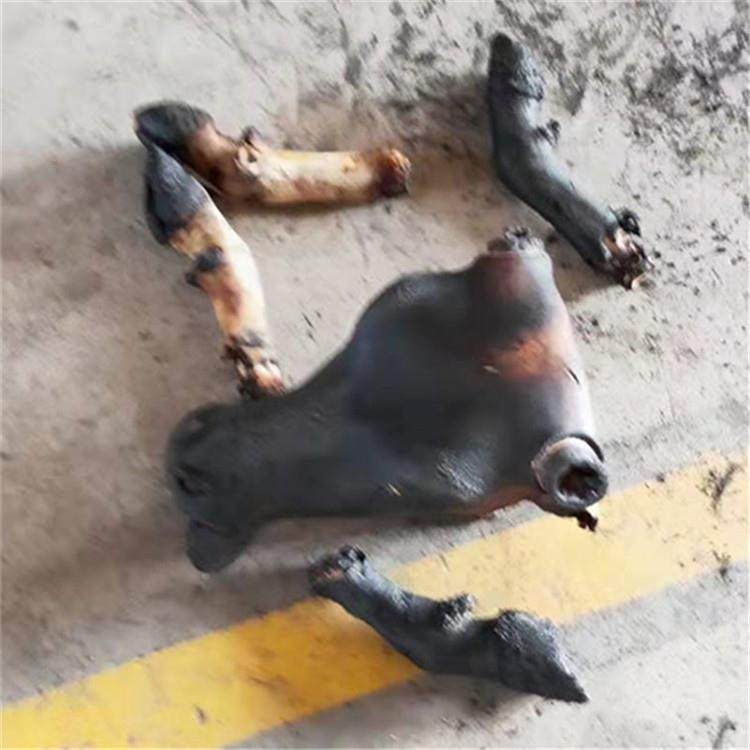 连TPO续机式原 牛蹄烧毛猪 液化气羊蹄脱毛机 头燎毛机常年生产销,清洗/食品/商业设备,肉制品加工设备,淘宝优惠券,粉丝福利购,淘宝优惠卷