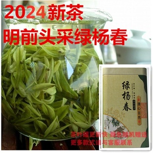 2024新茶 明前 绿杨春头采一芽一叶 捺山绿茶礼 盒250g