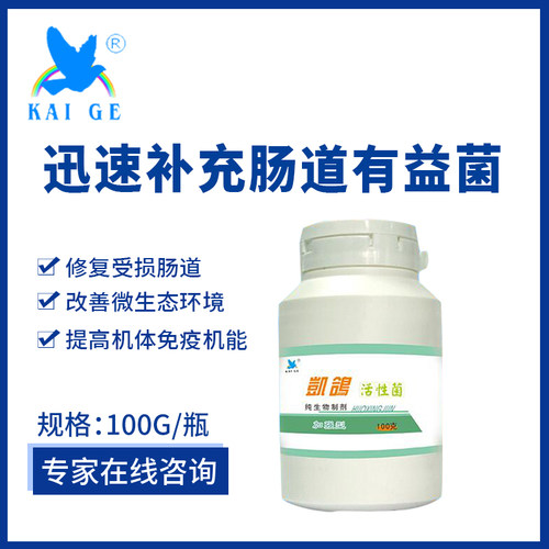 活性菌鸽药凯鸽活性菌瓶装100克