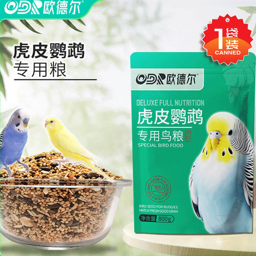 欧德尔虎皮鹦鹉鸟食带壳