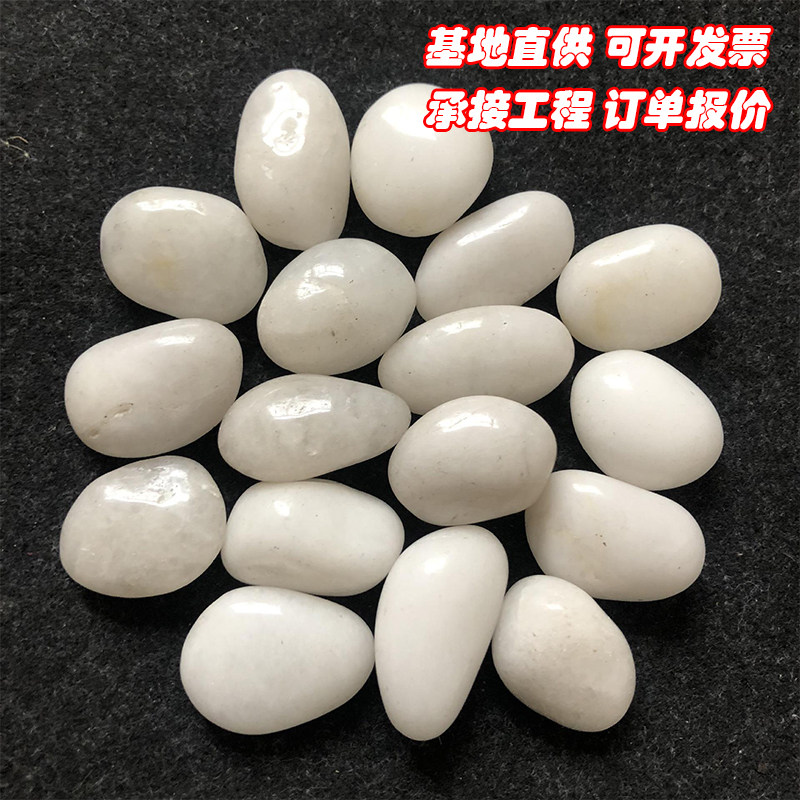 成都白色石子多肉盆栽铺面石鱼缸装饰石头庭院布景大鹅卵石雨花石