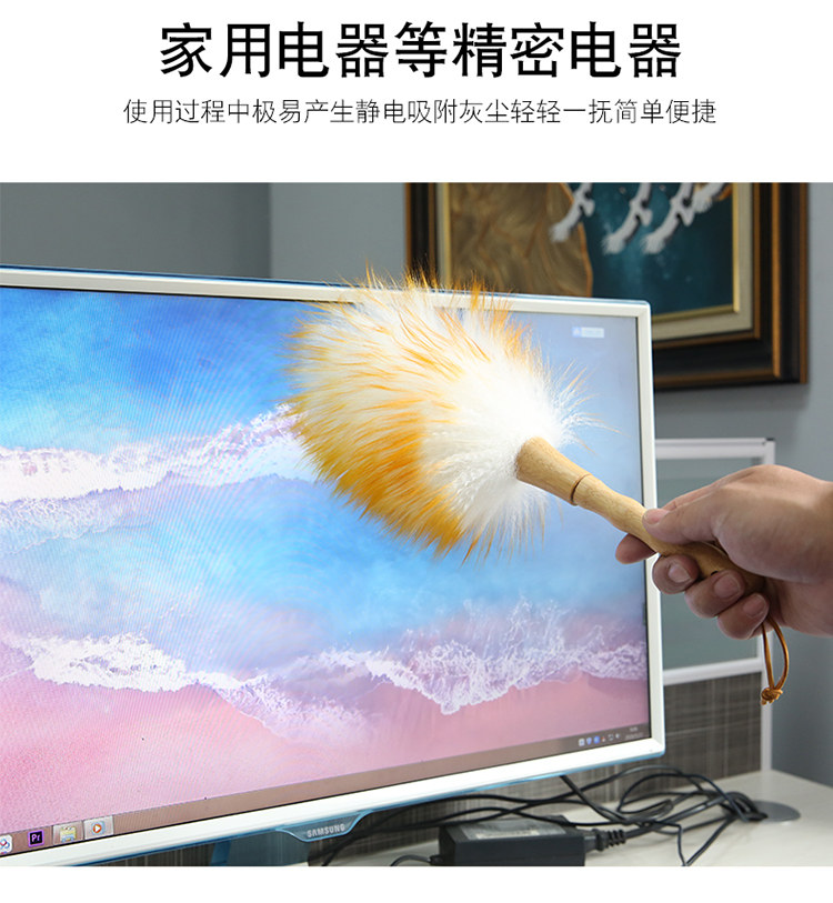 鸡毛掸子除尘扫灰家用加密