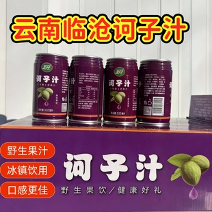 云南特产饮料玉丹诃子汁芒果汁酸角汁柯子汁新鲜原浆临沧永德罐装