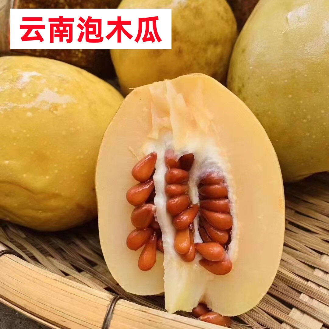 泡酸木瓜酸多依孕妇零食腌木瓜野生渣子云南特产傣味小吃夏日野果
