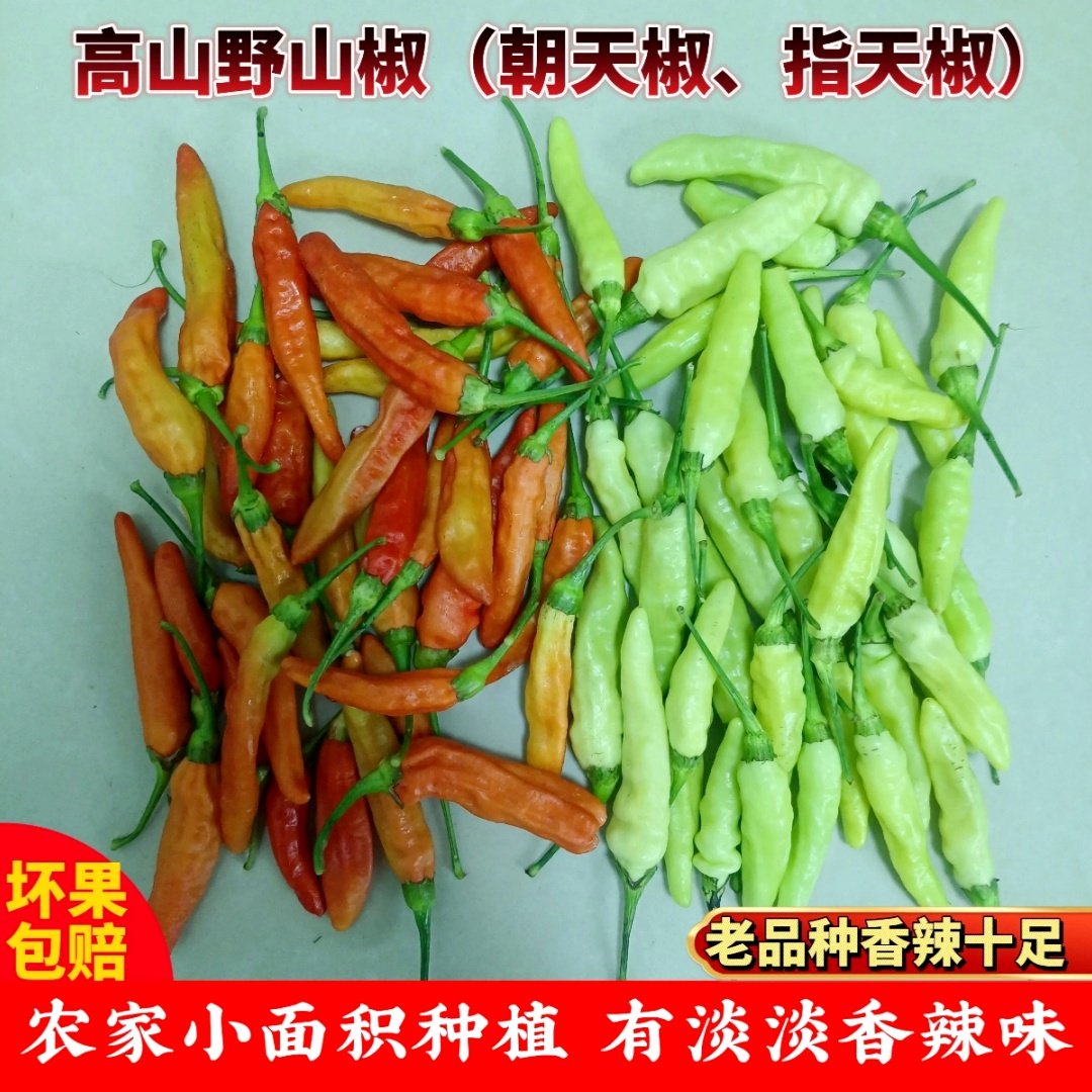 新鲜白米椒野山椒白米椒特辣尖椒小米辣剁椒黄白泡椒魔鬼朝天椒