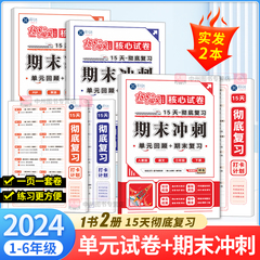 期末冲刺100分闯关试卷一二年级三年级四年级五六年级下册15天彻底复习试卷测试卷全套人教版语数英小学单元专项训练期中期末考试