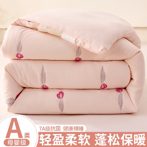 A类保暖被子冬被被芯加厚春秋被