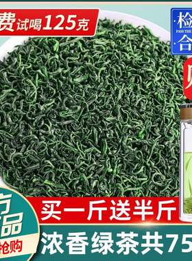 2025新春茶云雾绿茶高山茶叶非毛尖茶日照充足浓香型袋散装共750g