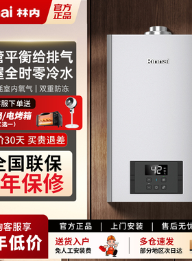 Rinnai/林内 RUS-R16U53G-CH