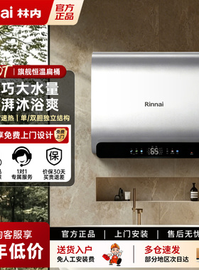 Rinnai/林内 DSG60-DE20PN增容电热水器60升镁棒无需单双双胆切换