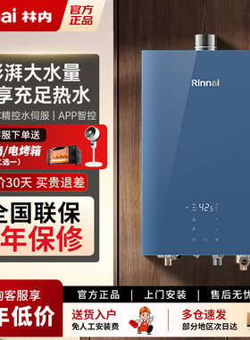 Rinnai/林内 RUS-16E65G-GL