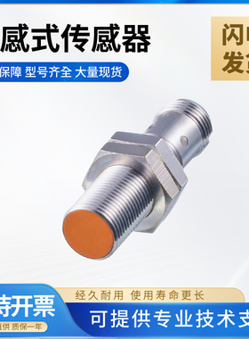 易福门型电感式接近开关 技术支持 质保一年IF5994/IF5541