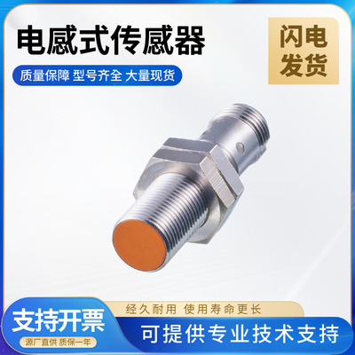 易福门型电感式接近开关 技术支持 质保一年IF5994/IF5541