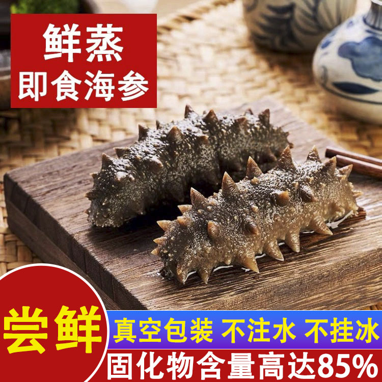 【顺丰冷链】鲜蒸即食海参6-15头/斤 深海大连底播野生孕妇辽刺参