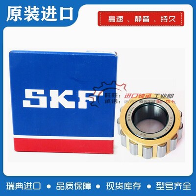 进口SKF轴承 RN310 RN311 RN312 RN313 RN314 RN315 RN316 EM NSK
