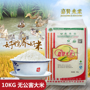 嘉贤稻鸭米 无公害大米 粳米 10kg装  厂家直销