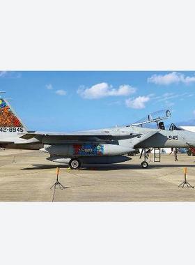长谷川 02469 F-15 Eagle 