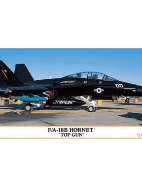 长谷川 02436 F/A-18B 大黄蜂 战斗机