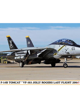 长谷川 02434 F-14B 雄猫 舰载战斗机