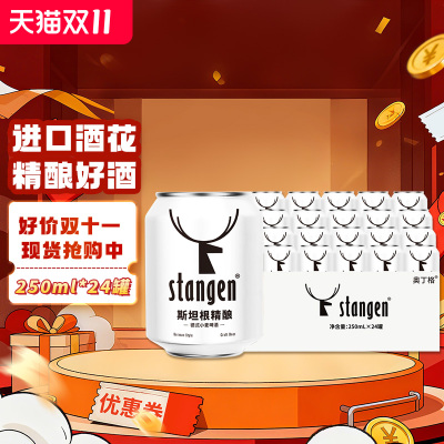 斯坦根迷你罐啤酒500ml
