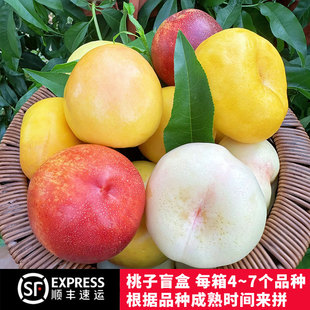 蒙阴蜜桃桃子盲盒4~7个品种蜜桃多拼盲盒应季水果孕妇水果