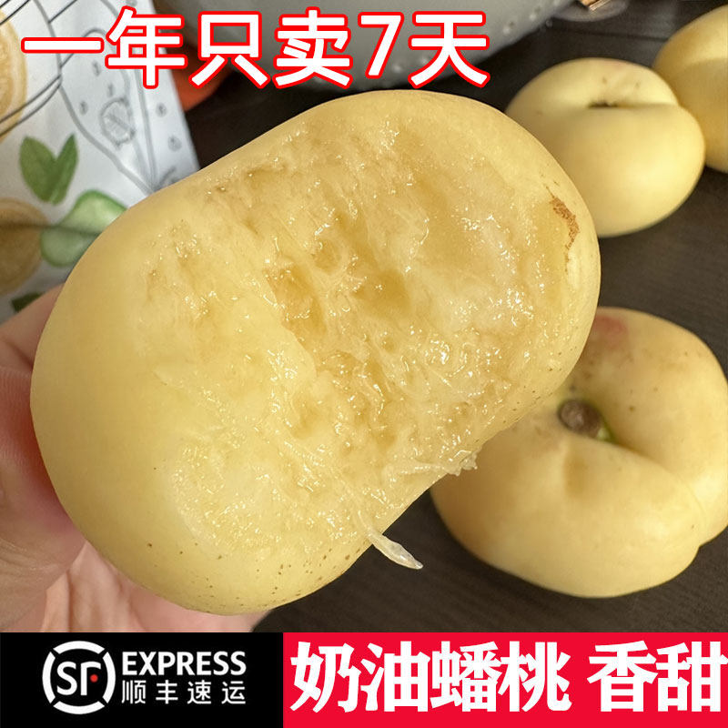 奶油蟠桃白蟠桃新鲜水果当季整箱蒙阴蜜桃应季桃子脆桃扁桃油蟠桃