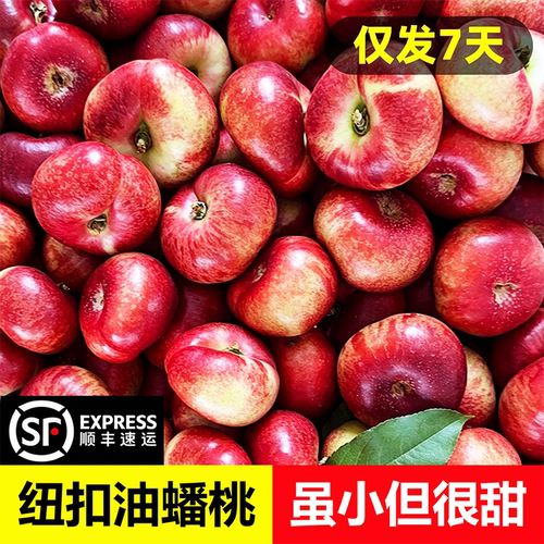 纽扣蟠桃当季新鲜水果整箱应季油蟠桃脆甜可软油桃扁桃孕妇水果