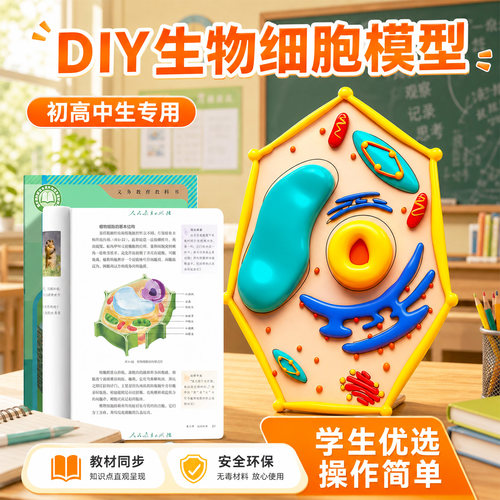 生物细胞模型动物和植物细胞结构