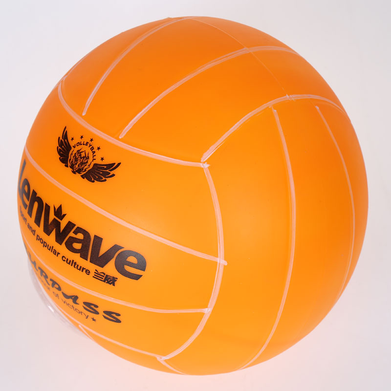 Ballon de volley - Ref 2007995 Image 5