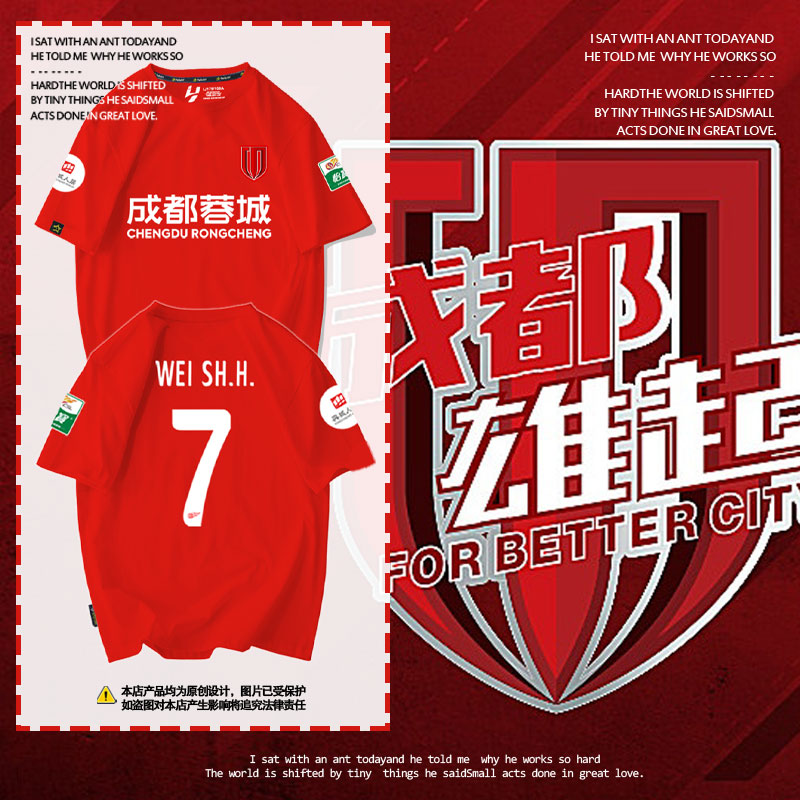 2024成都蓉城队服足球迷纯棉t恤