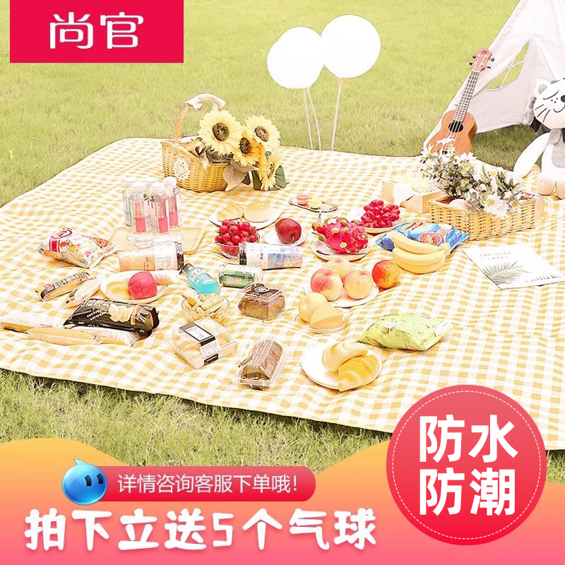 便携防水加厚ins风秋游野餐垫