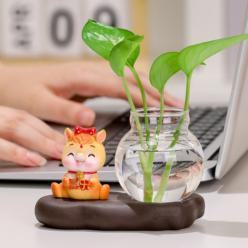 好运马水培摆设透明玻璃桌面装饰