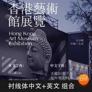 可商用无版权衬线体中文英文字体组合画册海报排版PS字体安装包AI