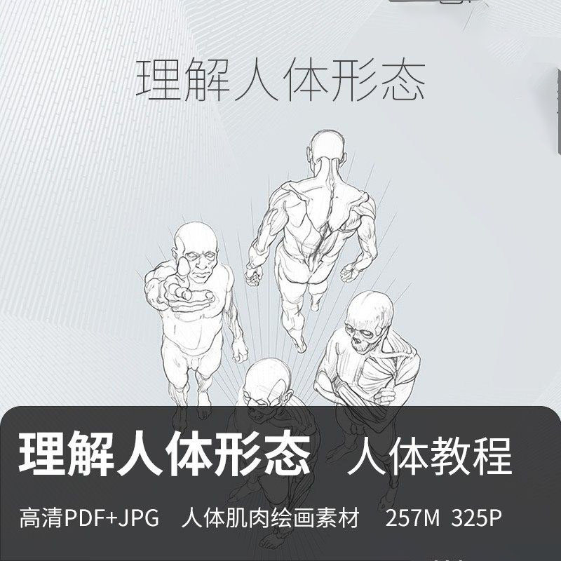 理解人体形态图解 素描速写绘画设计素材/源文件