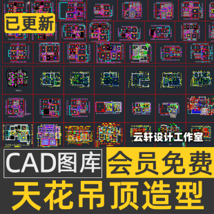 2021年家装工装吊顶棚平面剖面图布置室内设计天花CAD施工图库C52