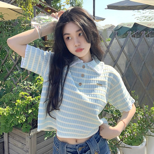 POLO领条纹短袖 设计感小众韩系甜美上衣服 针织T恤女夏季 2024新款